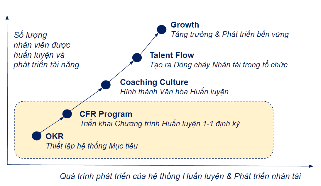 Cfr Program